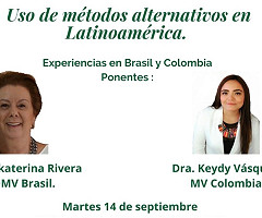 Tercer webinar: Uso de métodos alternativos en América latina