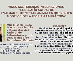 Video Conferencia Internacional: 