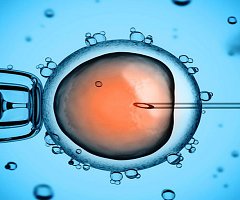El polémico experimento de edición genética en embriones humanos