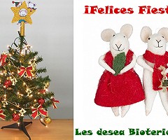 ¡¡Muy felices fiestas a todos!!