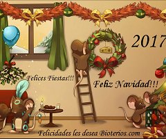 Muchas Felicidades!!