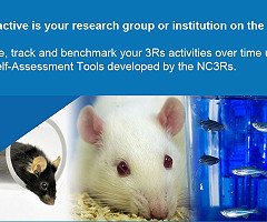 Herramienta de autoevaluación del NC3Rs: ¿Qué tan activo es su grupo de investigación o institución en las 3Rs?