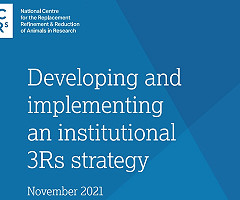 Desarrollar e implementar una estrategia institucional de las 3Rs (Informe de NC3Rs)