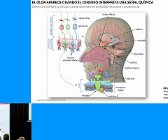 Laura López Mascaraque: 