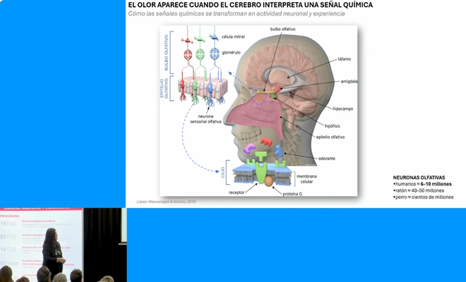 Laura López Mascaraque: