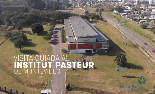 Visita virtual guiada al Institut Pasteur de Montevideo (YouTube)
