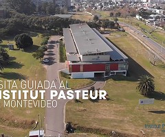 Visita virtual guiada al Institut Pasteur de Montevideo (YouTube)