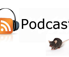 Podcast: Experimentación animal: desmintiendo mitos