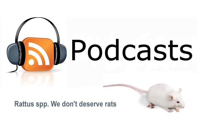 PODCAST - Rattus spp. We don't deserve rats