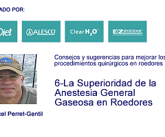 Consejos y sugerencias: La Superioridad de la Anestesia General Gaseosa en Roedores