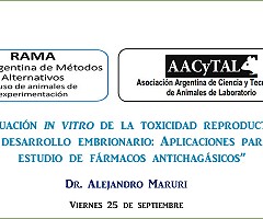 Ciclo de Conferencias RAMA: Evaluación in vitro de la toxicidad reproductiva y del desarrollo embrionario: Aplicaciones para el estudio de fármacos antichagásicos.