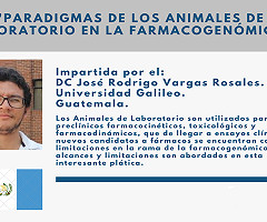 Conferencia Virtual FeSAHANCCCAL: 