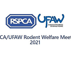 RSPCA/UFAW Rodent Welfare Meeting 2021