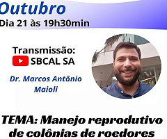 Canal de YouTube de SBCAL: 