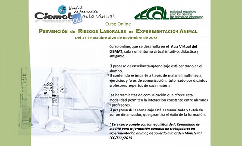 Curso Online -