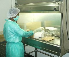 Biossegurança em Biotérios de Experimentação (Parte I)