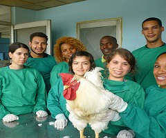 Relatoría Curso Administración y Toma de muestras en animales de experimentación utilizados para estudios en enfermedades infecciosas
