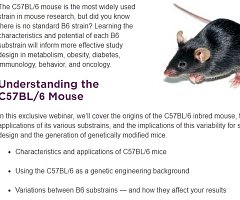 WEBINAR: The Most Important Mouse in the World - Your Guide to the C57BL/6 Mouse