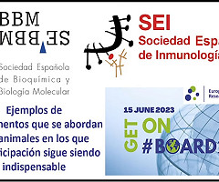 Jornada BOARD2023 Transparencia: SEBBM y SEI ¿Por qué es indispensable usar modelos animales? (Video)