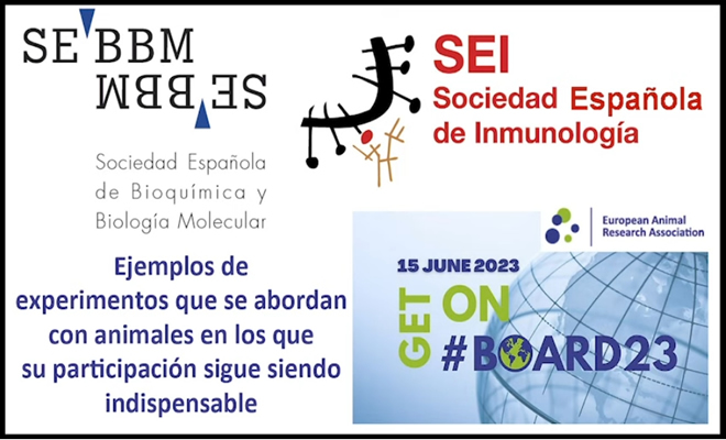 Jornada BOARD2023 Transparencia: SEBBM y SEI ¿Por qué es indispensable usar modelos animales? (Video)