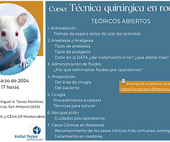 Curso 