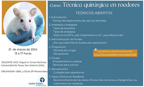 Curso