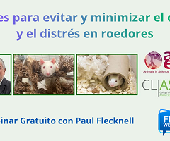Webinar con Paul Flecknell: Claves para evitar y minimizar el dolor y el distrés en roedores